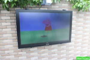 A Great Solution to Guard Your TV & Display enclosure in Australia, New Zealand!